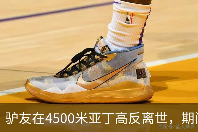 驴友在4500米亚丁高反离世，期间姐姐全网求免费直升机，牧民报价1万被她拉黑